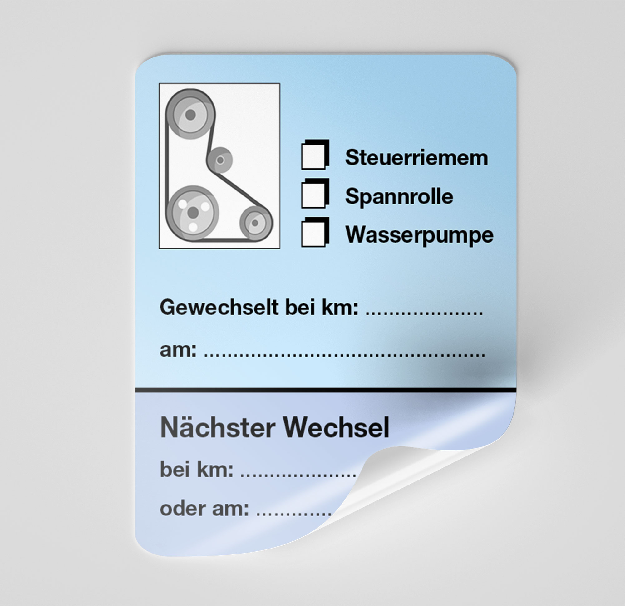 KFZ-Zahnriemen-Steuerriemen-Aufkleber Blau 1000 Stück Blanko