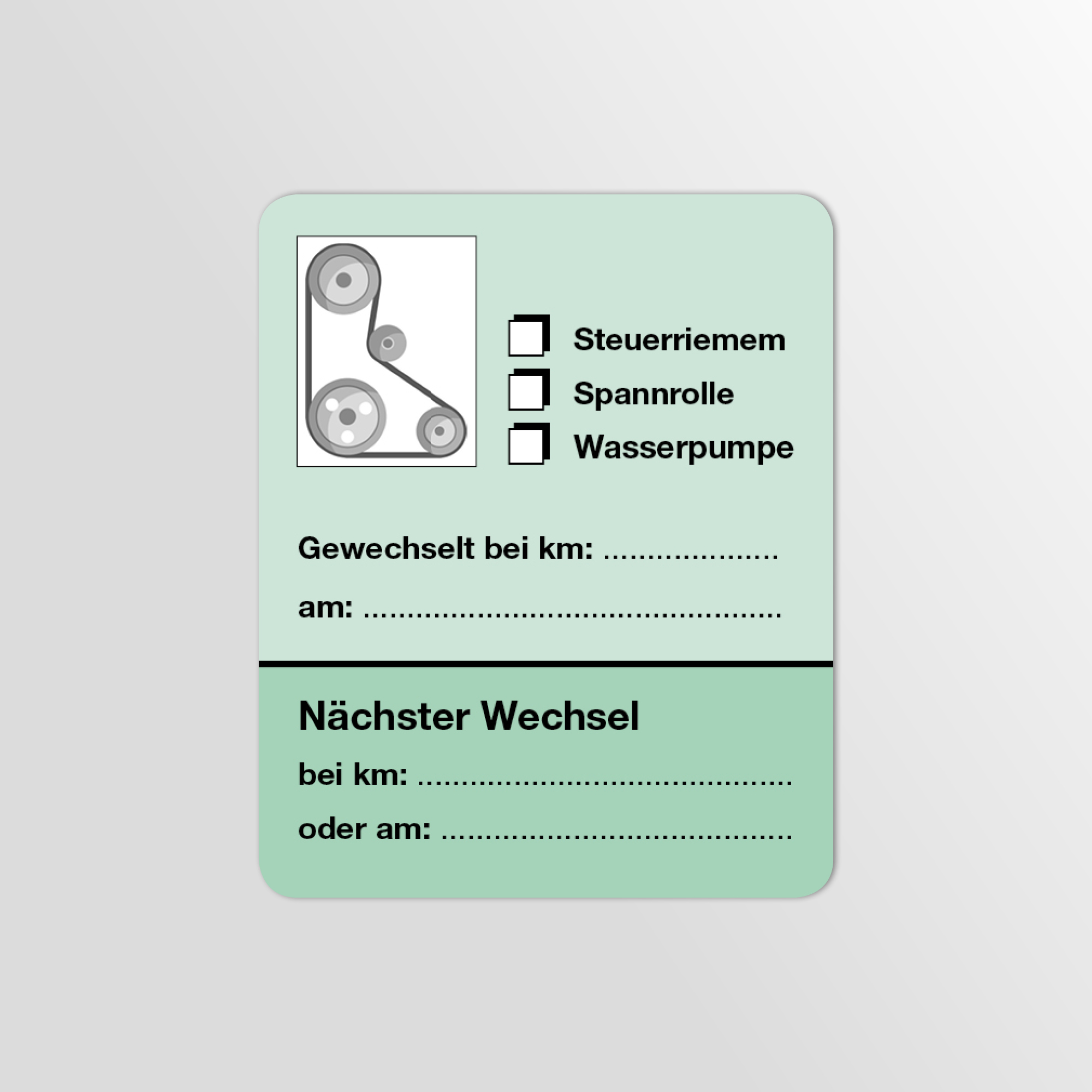 KFZ-Zahnriemen-Steuerriemen-Aufkleber Grün 25 Stück Blanko